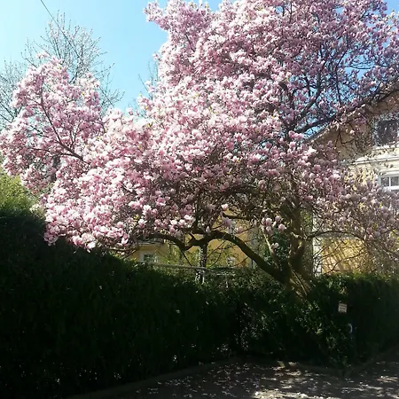 Hotel Hohenstauffen Salisburgo