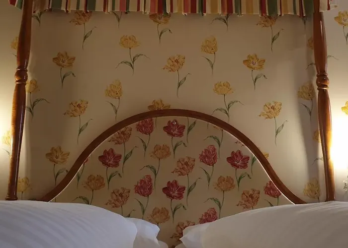 호텔 호헨스타우펜