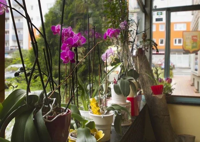 호헨스타우펜 3*