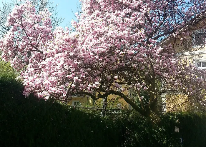 호텔 호헨스타우펜 잘츠부르크